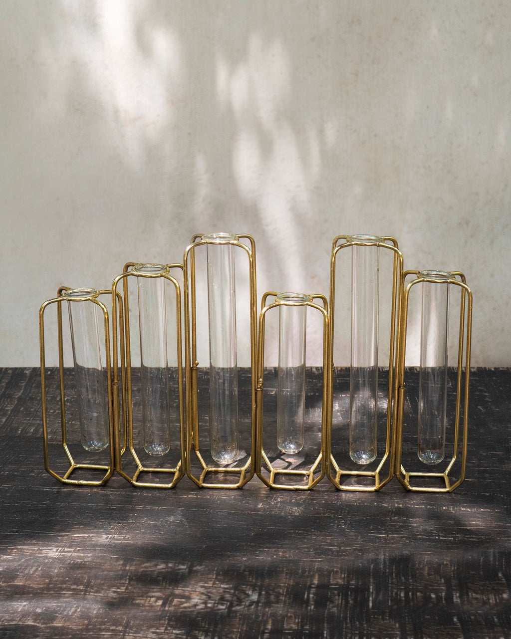 Brass and Clear Glass Test Tube Vases - World Market