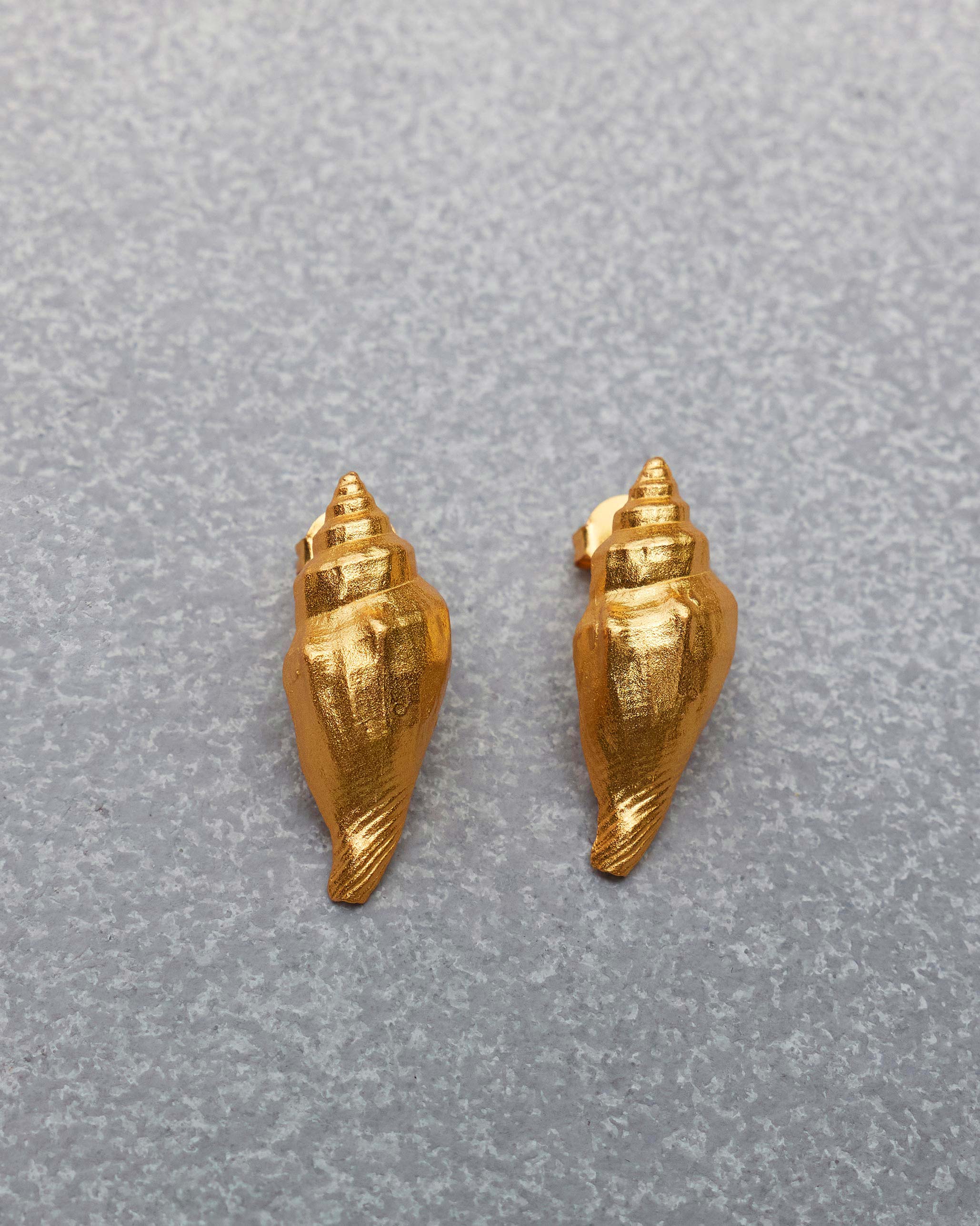 Coil Shell Earrings - Gold