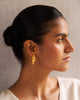 Coil Shell Earrings - Gold