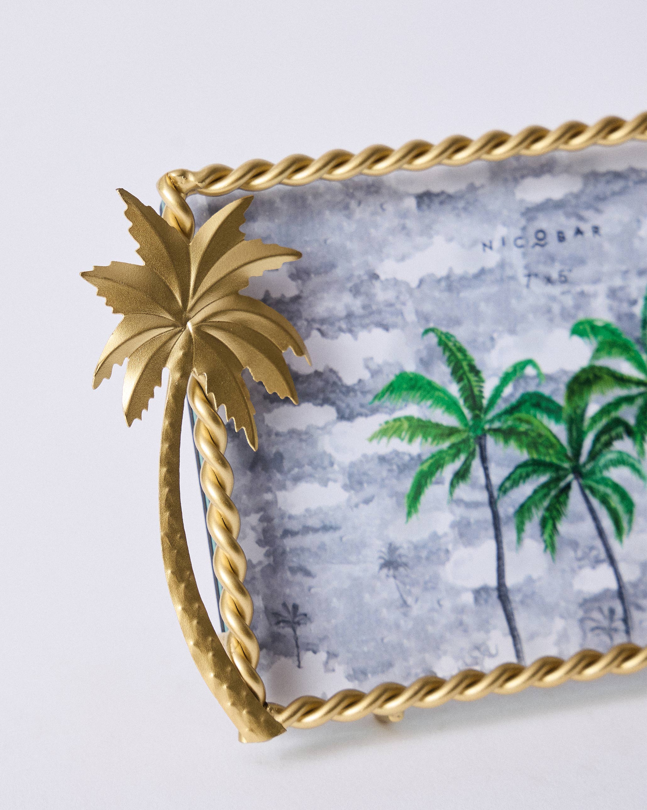 Island Palm Photo Frame