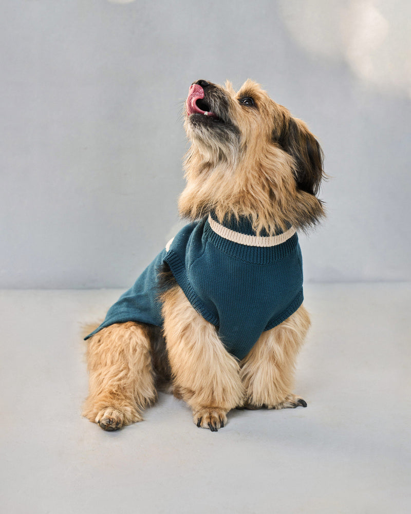 Star Snug Dog Sweater - Teal & Oatmeal