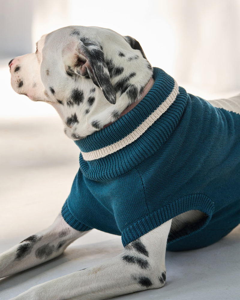 Star Snug Dog Sweater - Teal & Oatmeal