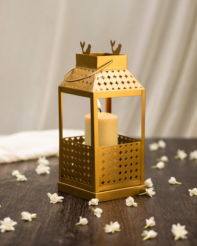 Totamachli Lantern