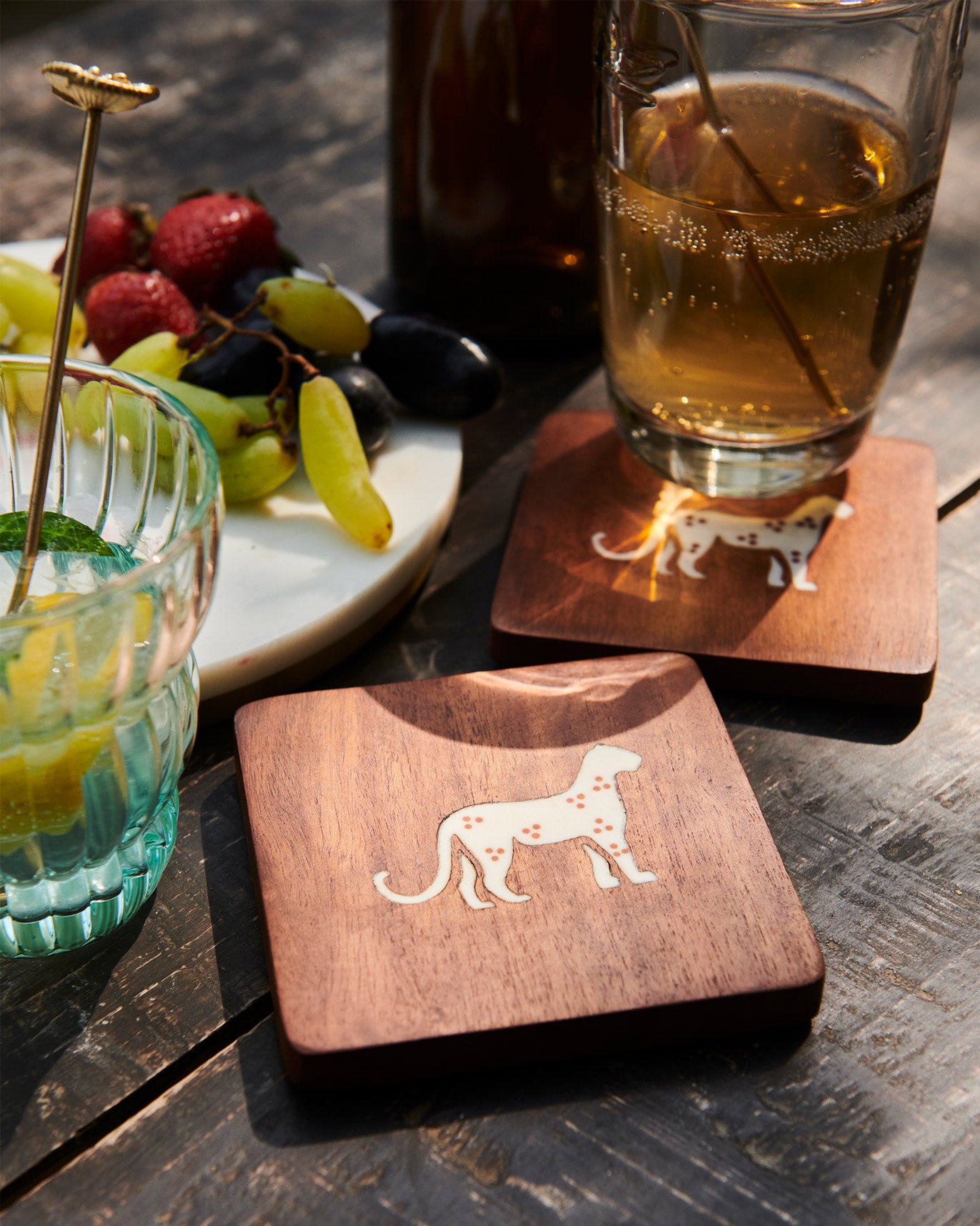 Cheetah Coasters